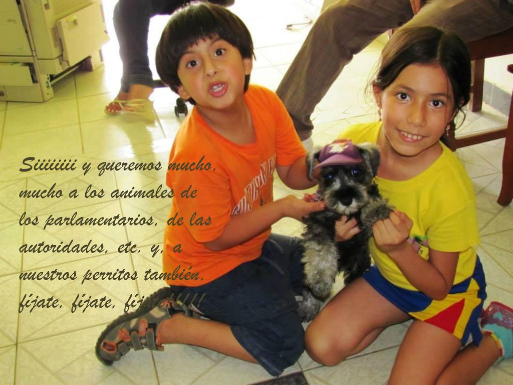 Siiiiiiii y queremos mucho, mucho a los animales de los parlamentarios, de las autoridades, etc. y, a nuestros perritos también,