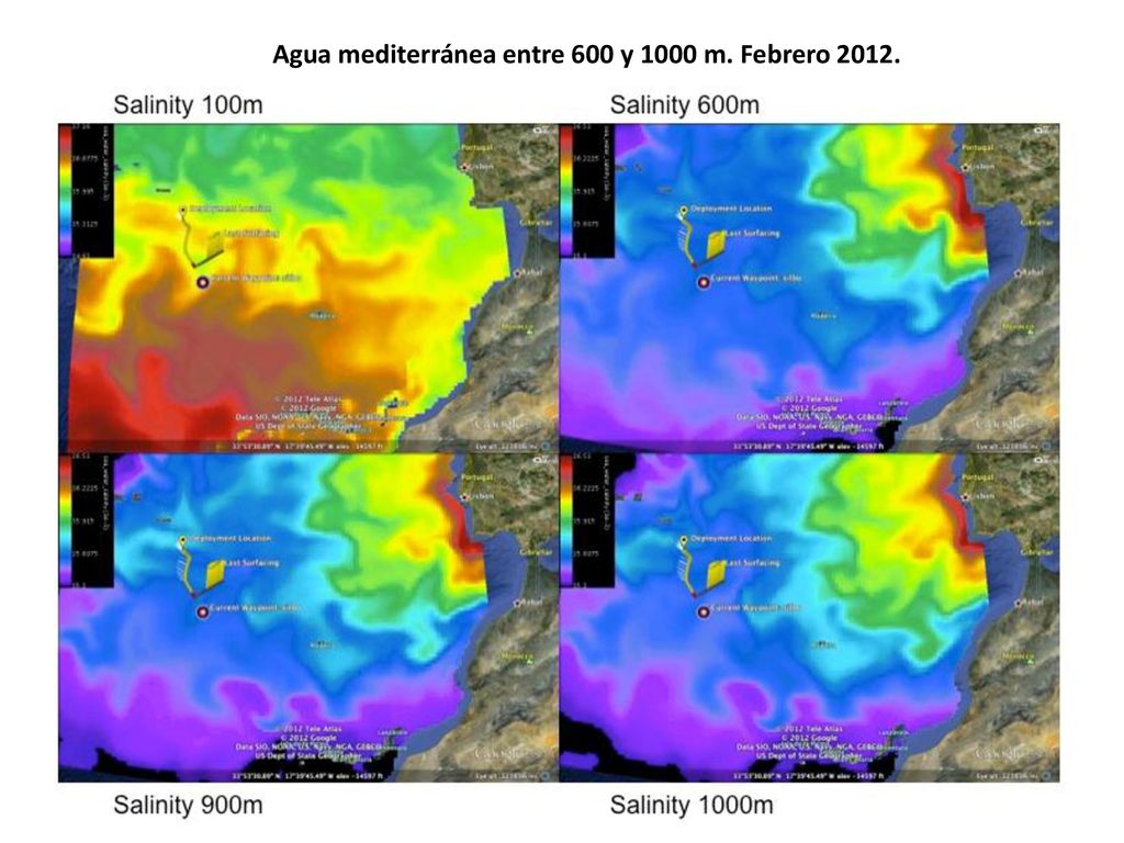 cat=77 Agua mediterránea entre 600 y 1000 m. Febrero 2012.