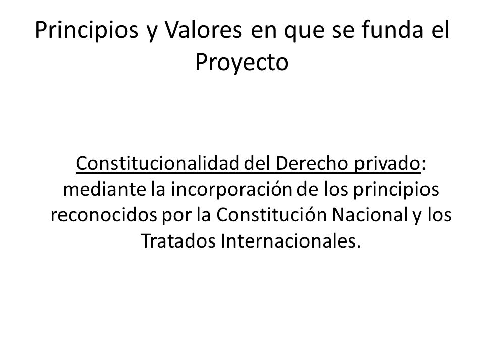 Principios y Valores en que se funda el Proyecto