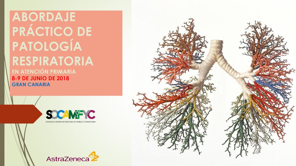 ABORDAJE PRÁCTICO DE PATOLOGÍA RESPIRATORIA EN ATENCIÓN PRIMARIA 8-9 DE JUNIO DE 2018 GRAN CANARIA