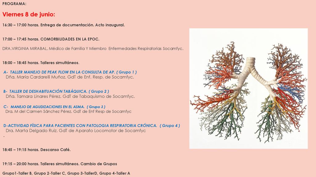 PROGRAMA: Viernes 8 de junio: 16:30 – 17:00 horas
