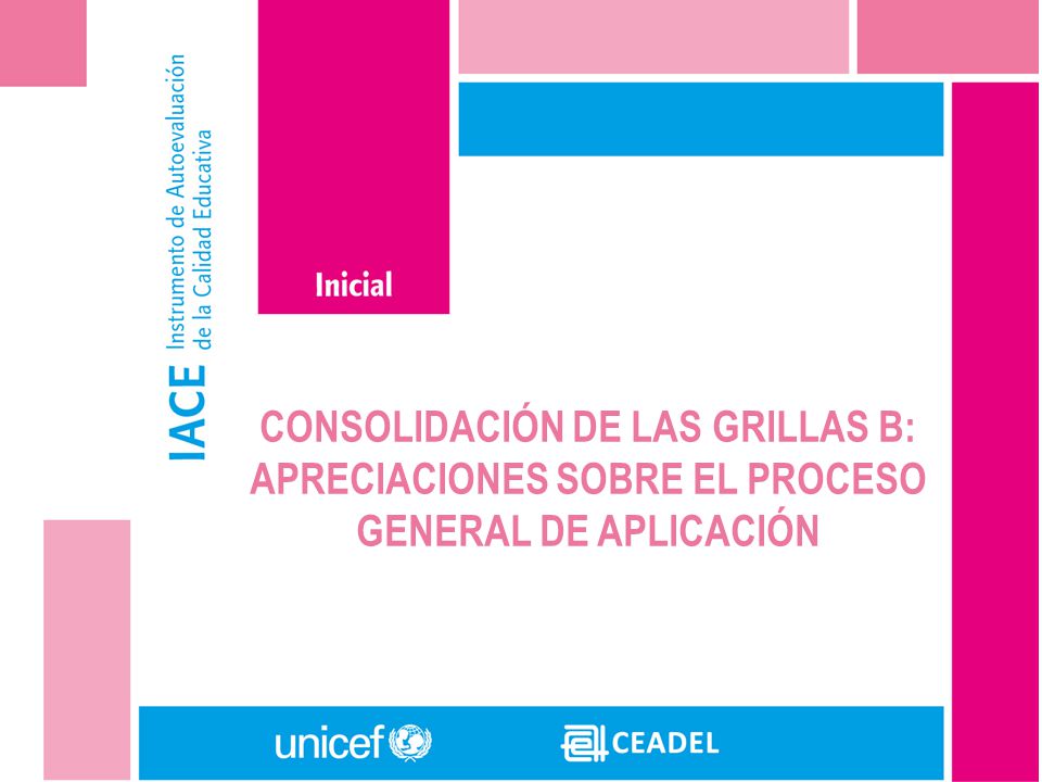 CONSOLIDACIÓN DE LAS GRILLAS B: APRECIACIONES SOBRE EL PROCESO GENERAL DE APLICACIÓN