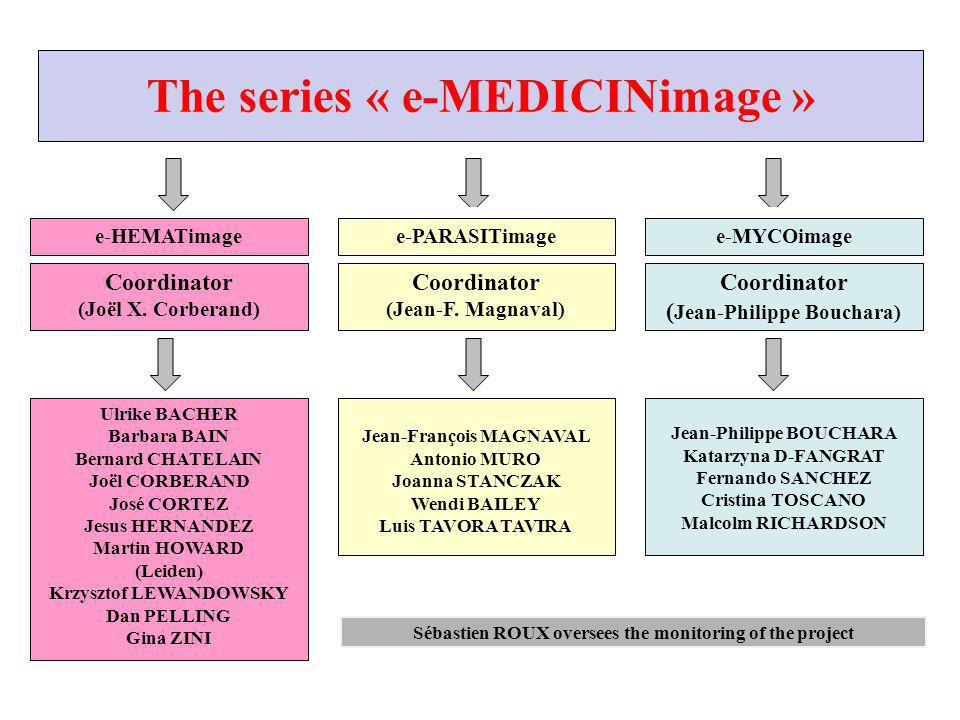 The series « e-MEDICINimage »