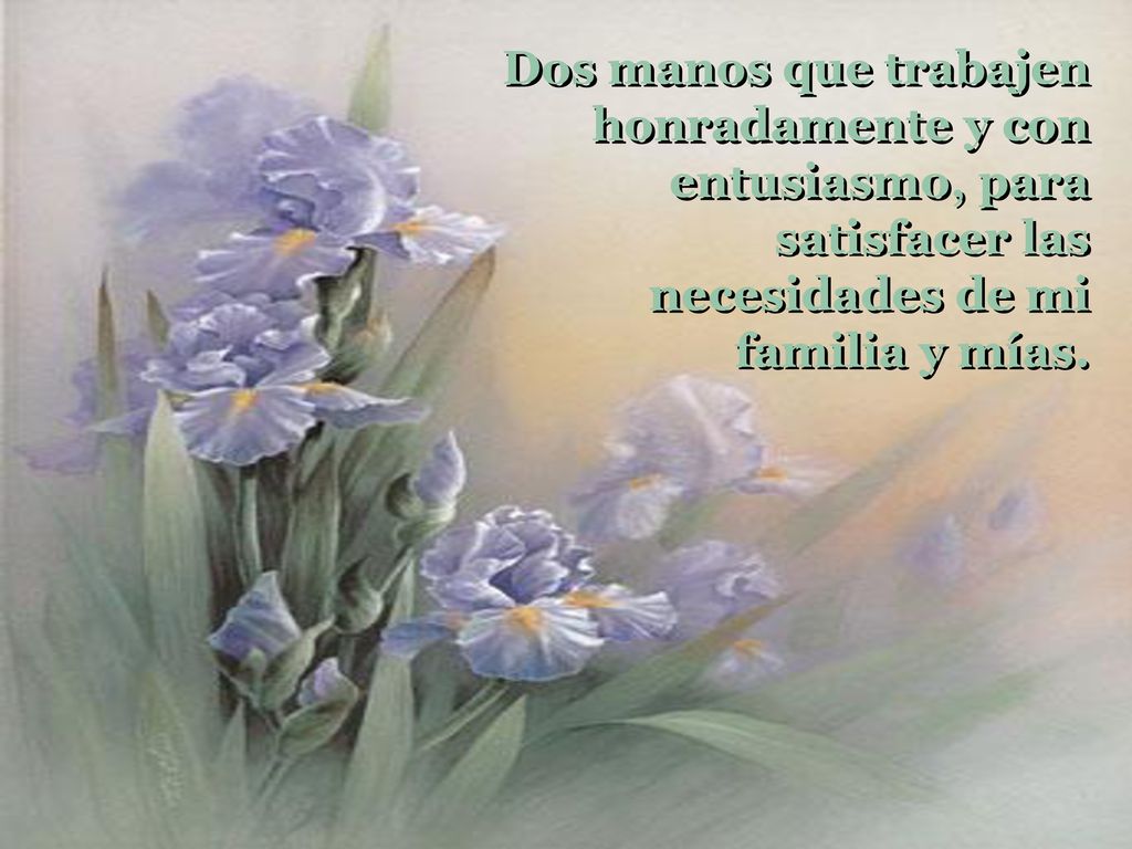 Dos manos que trabajen honradamente y con entusiasmo, para satisfacer las necesidades de mi familia y mías.