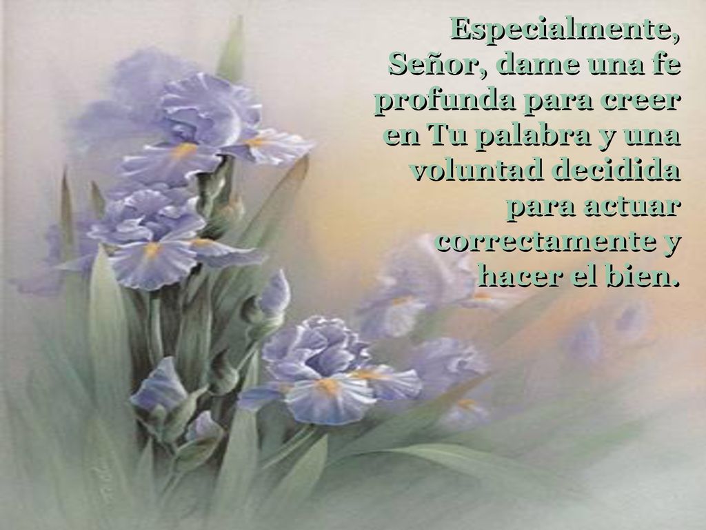 Especialmente, Señor, dame una fe profunda para creer en Tu palabra y una voluntad decidida para actuar correctamente y hacer el bien.