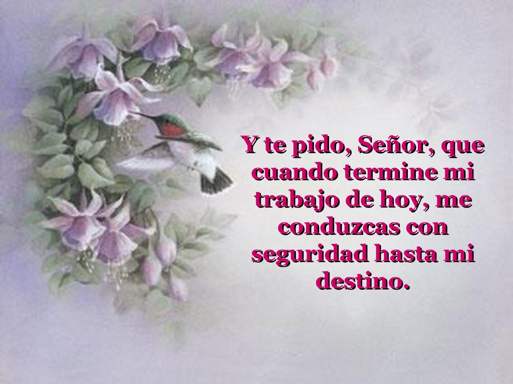 Y te pido, Señor, que cuando termine mi trabajo de hoy, me conduzcas con seguridad hasta mi destino.