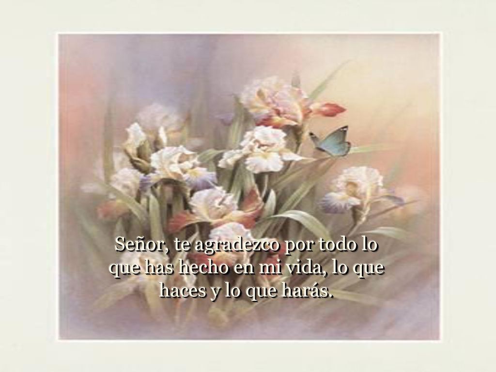 Señor, te agradezco por todo lo que has hecho en mi vida, lo que haces y lo que harás.