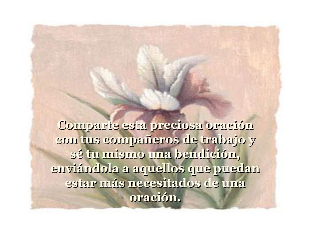 Comparte esta preciosa oración con tus compañeros de trabajo y sé tu mismo una bendición, enviándola a aquellos que puedan estar más necesitados de una oración.