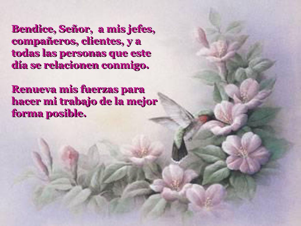 Bendice, Señor, a mis jefes, compañeros, clientes, y a todas las personas que este día se relacionen conmigo.
