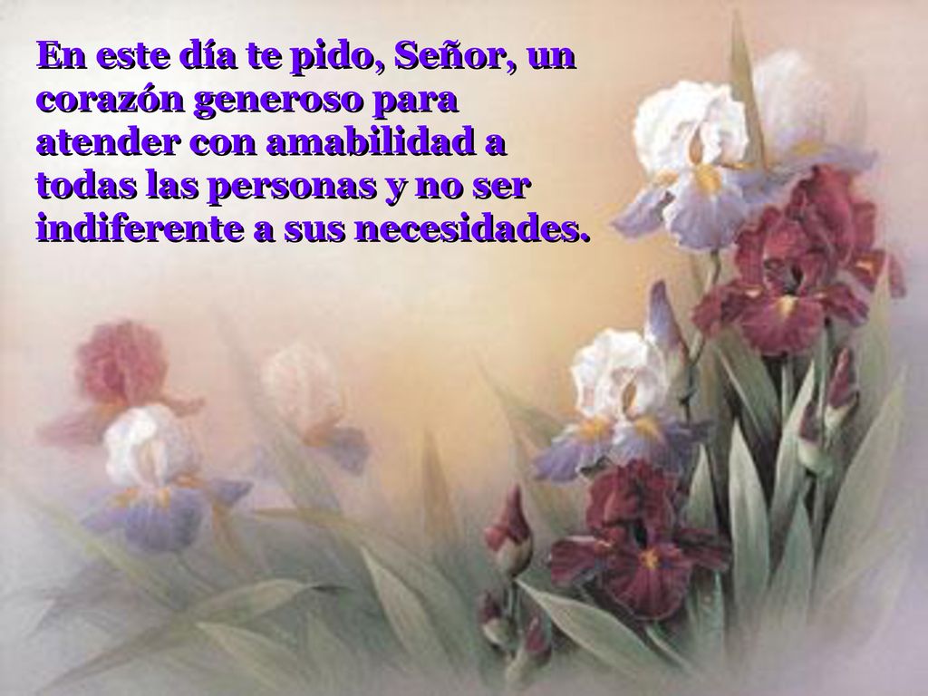 En este día te pido, Señor, un corazón generoso para atender con amabilidad a todas las personas y no ser indiferente a sus necesidades.