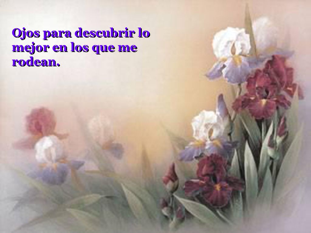 Ojos para descubrir lo mejor en los que me rodean.