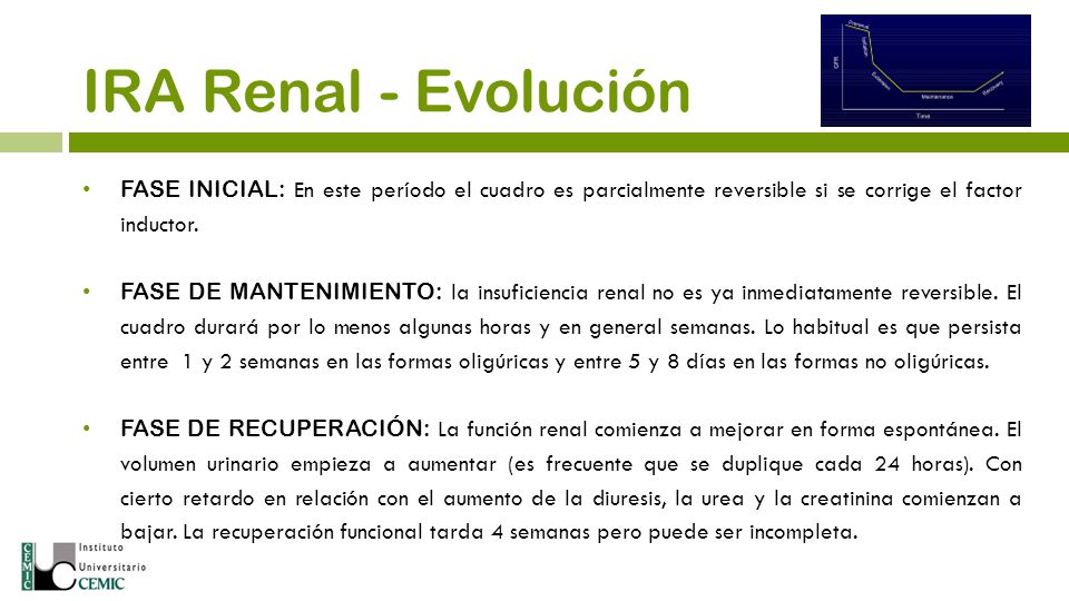 IRA Renal - Evolución FASE INICIAL: En este período el cuadro es parcialmente reversible si se corrige el factor inductor.