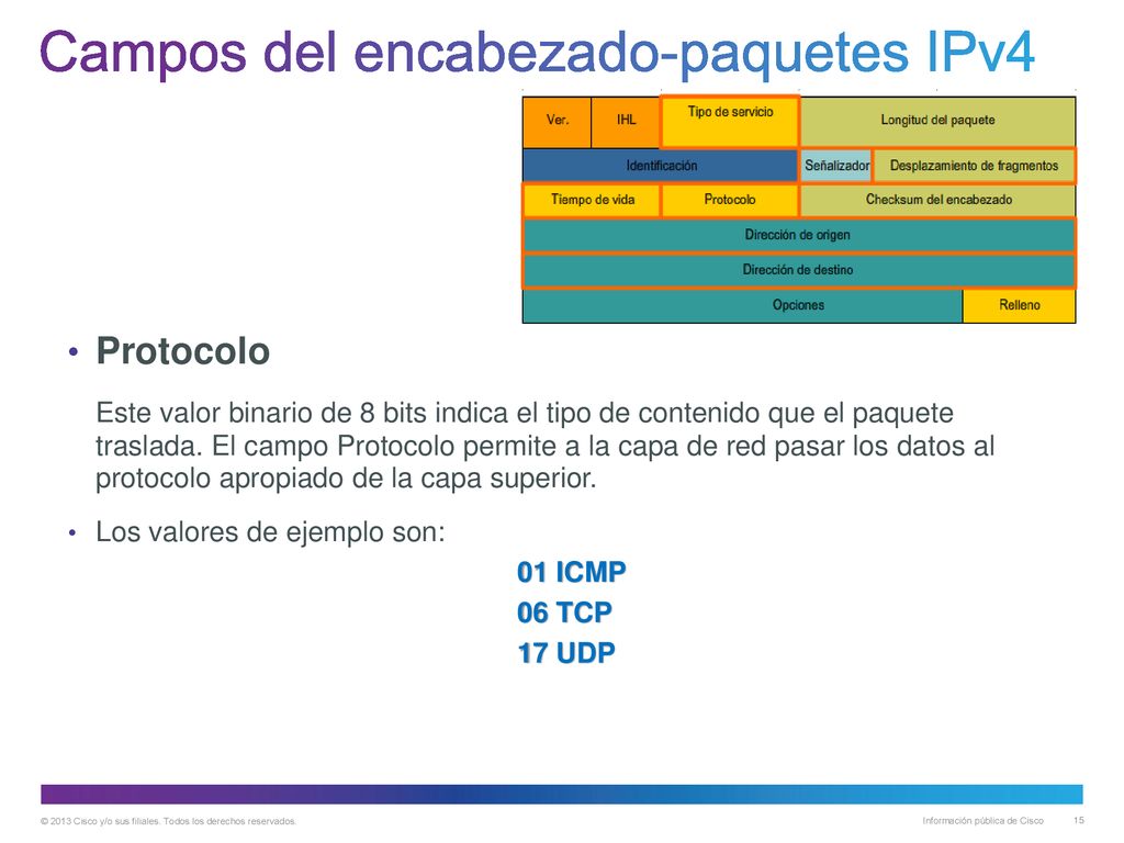 Campos del encabezado-paquetes IPv4