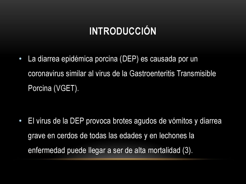 INTRODUCCIÓN La diarrea epidémica porcina (DEP) es causada por un coronavirus similar al virus de la Gastroenteritis Transmisible Porcina (VGET).