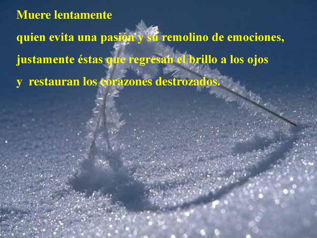 Muere lentamente quien evita una pasión y su remolino de emociones, justamente éstas que regresan el brillo a los ojos.