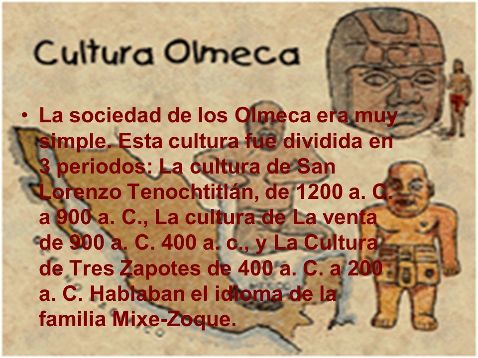 La sociedad de los Olmeca era muy simple