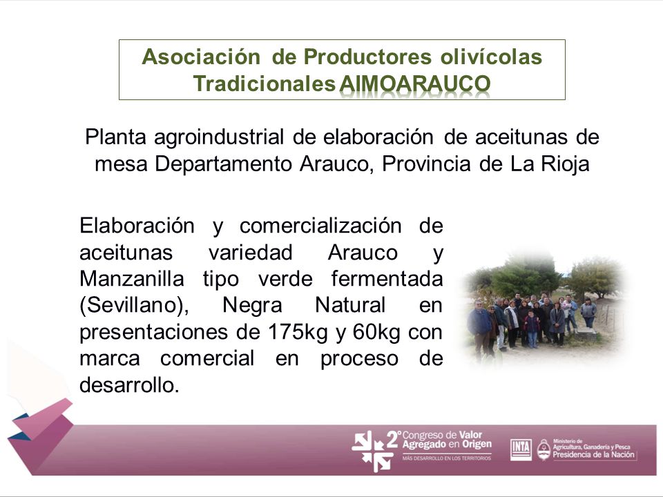 Asociación de Productores olivícolas Tradicionales AIMOARAUCO