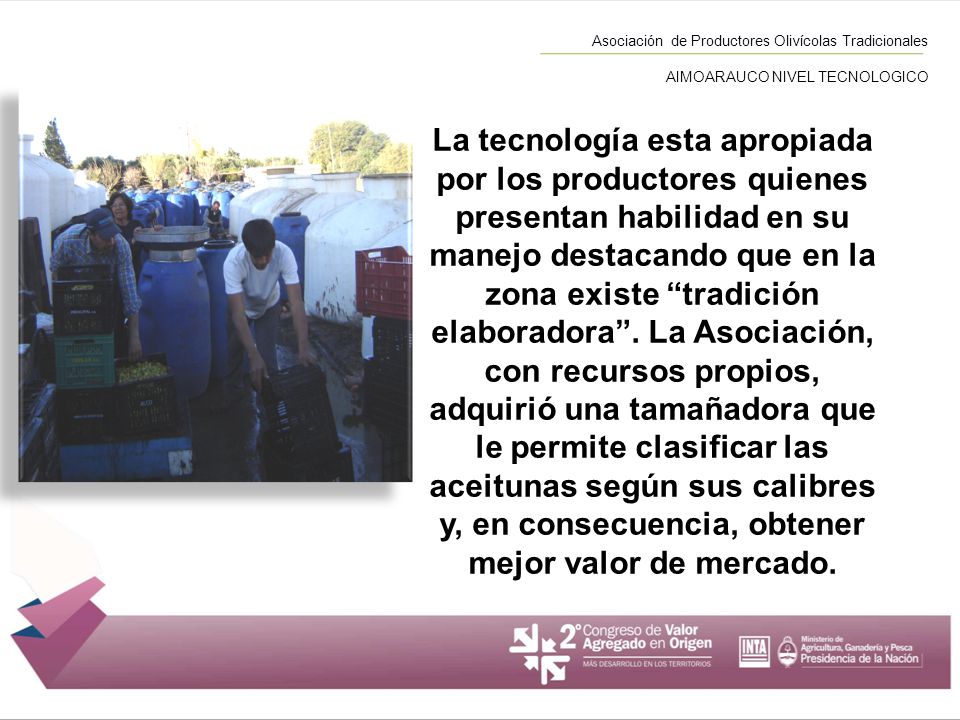 Asociación de Productores Olivícolas Tradicionales AIMOARAUCO NIVEL TECNOLOGICO