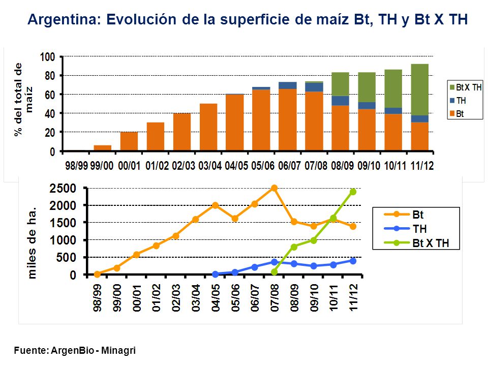 Argentina: Evolución de la superficie de maíz Bt, TH y Bt X TH