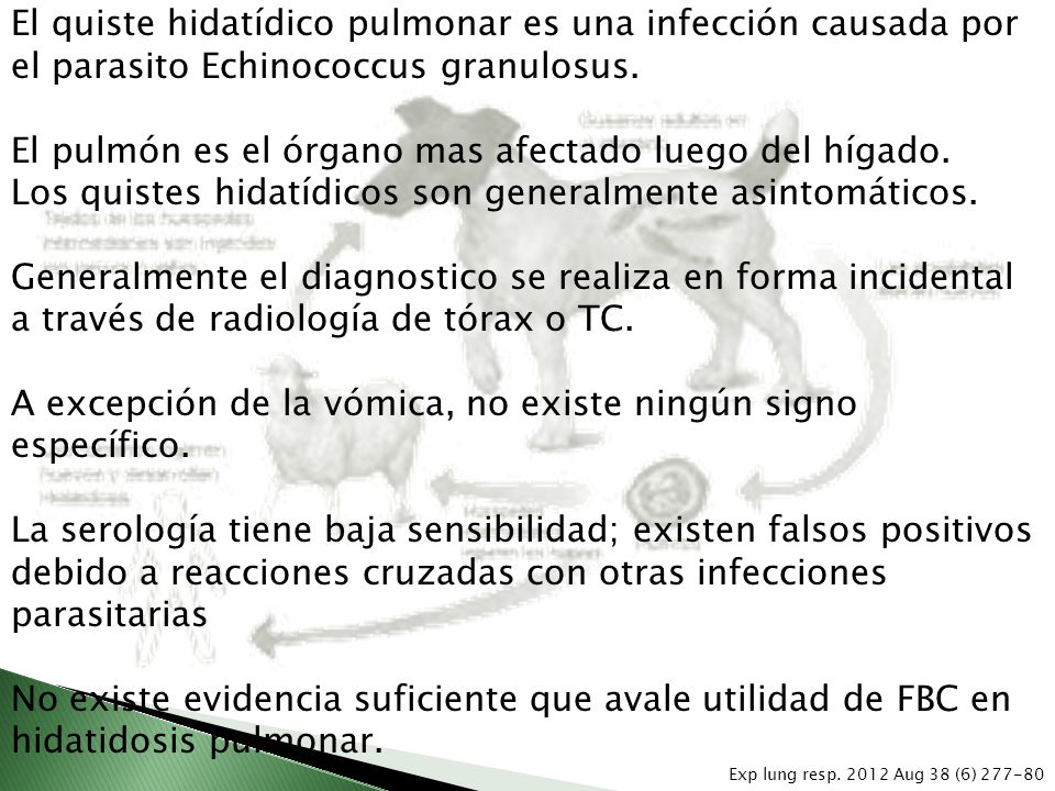 El pulmón es el órgano mas afectado luego del hígado.