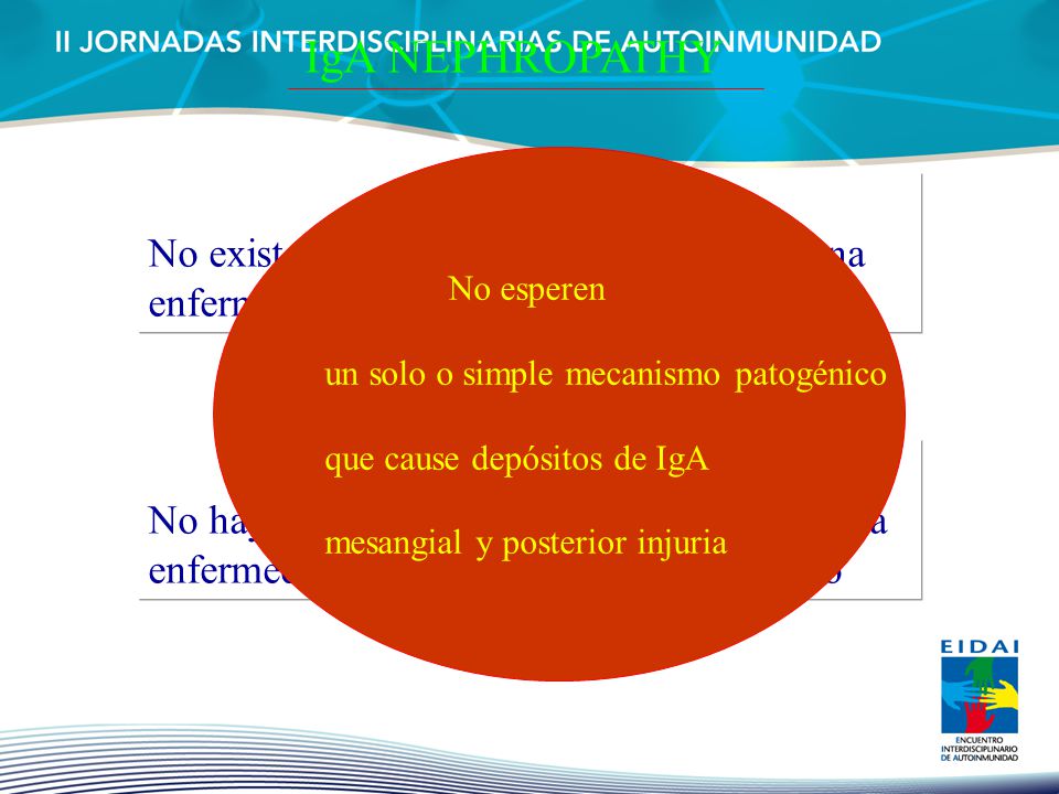 IgA NEPHROPATHY No esperen. un solo o simple mecanismo patogénico. que cause depósitos de IgA. mesangial y posterior injuria.