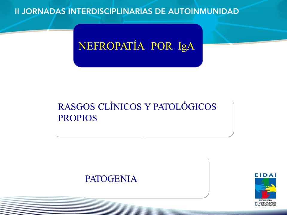 NEFROPATÍA POR IgA RASGOS CLÍNICOS Y PATOLÓGICOS PROPIOS PATOGENIA