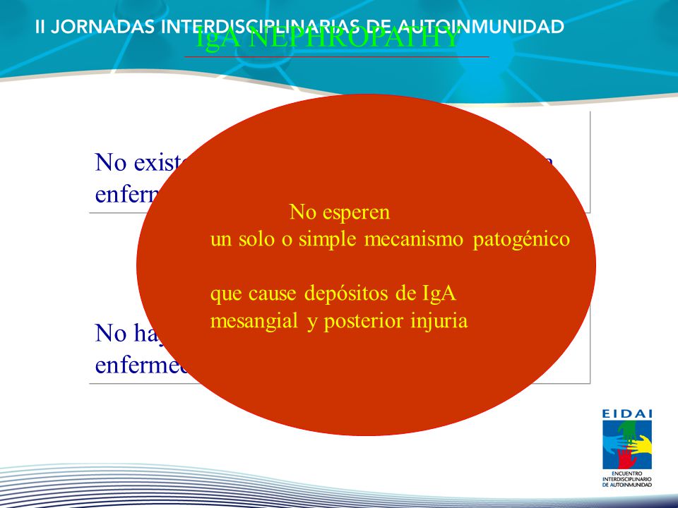 IgA NEPHROPATHY No esperen. un solo o simple mecanismo patogénico. que cause depósitos de IgA. mesangial y posterior injuria.
