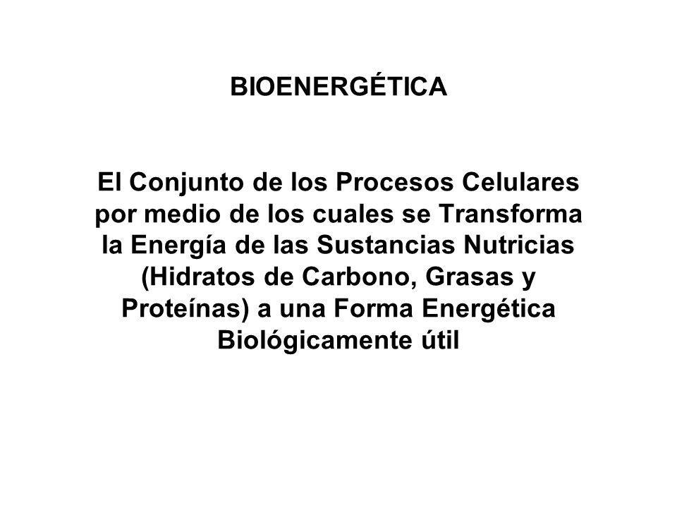 BIOENERGÉTICA El Conjunto de los Procesos Celulares por medio de los cuales se Transforma la Energía de las Sustancias Nutricias (Hidratos de Carbono, Grasas y Proteínas) a una Forma Energética Biológicamente útil