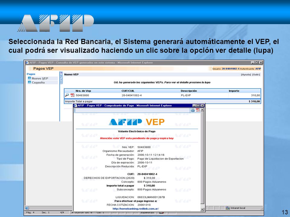 Seleccionada la Red Bancaria, el Sistema generará automáticamente el VEP, el cual podrá ser visualizado haciendo un clic sobre la opción ver detalle (lupa)