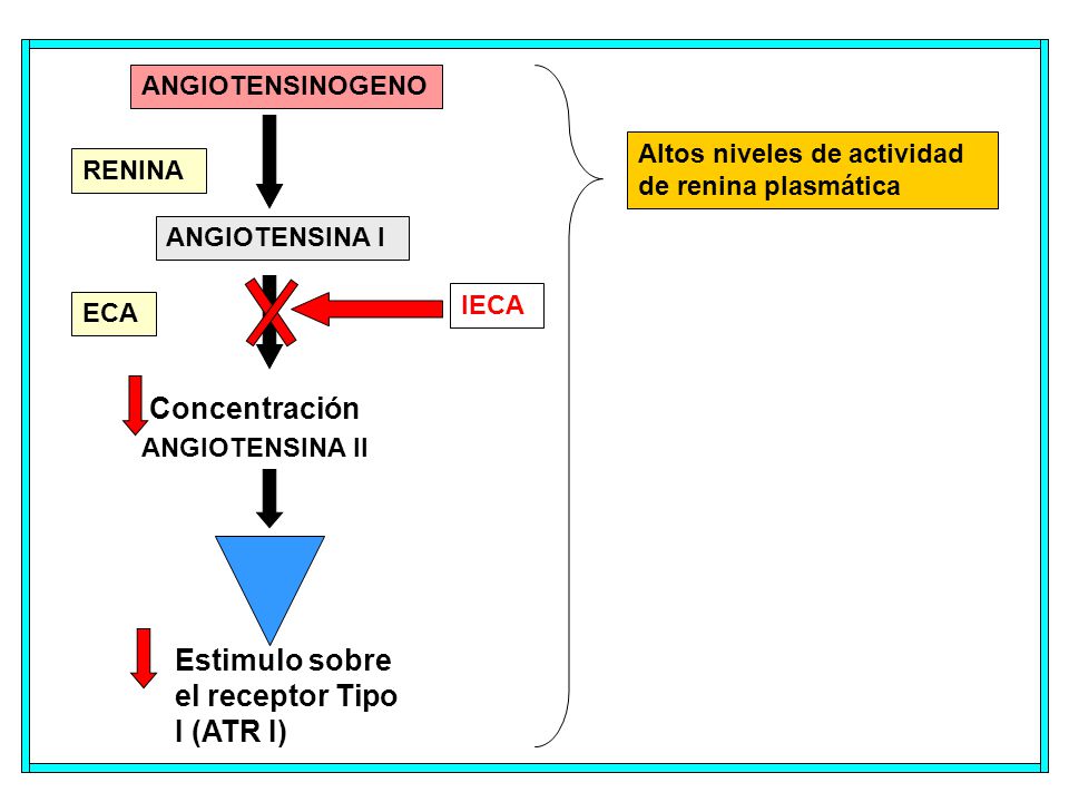 Estimulo sobre el receptor Tipo I (ATR I)