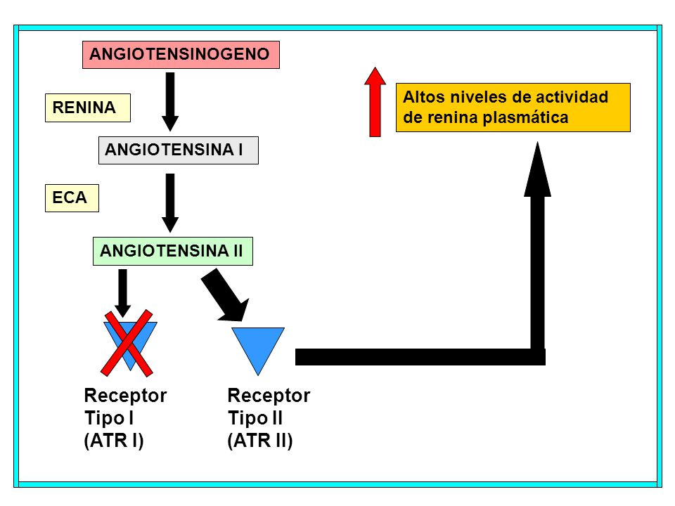 Receptor Tipo II (ATR II)