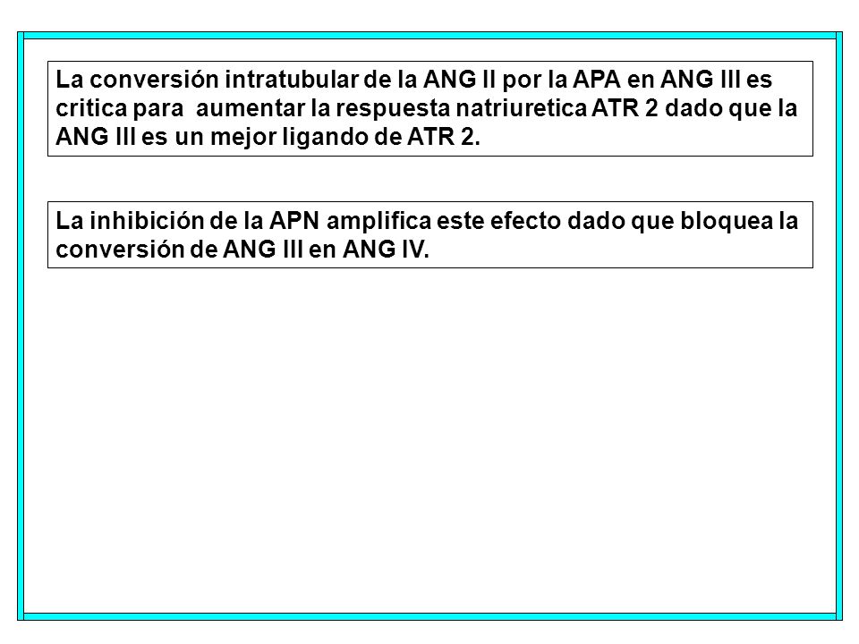 La conversión intratubular de la ANG II por la APA en ANG III es critica para aumentar la respuesta natriuretica ATR 2 dado que la ANG III es un mejor ligando de ATR 2.