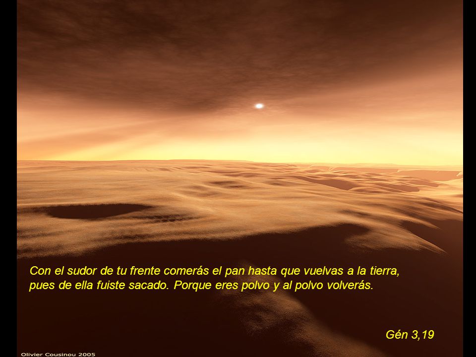 Con el sudor de tu frente comerás el pan hasta que vuelvas a la tierra,