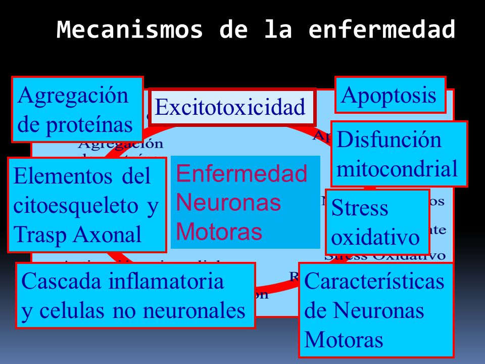 Mecanismos de la enfermedad