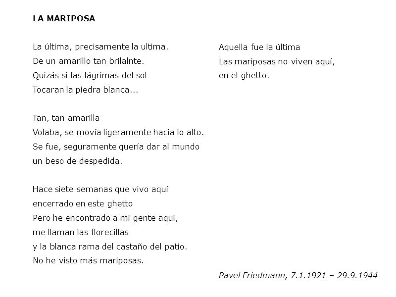 LA MARIPOSA La última, precisamente la ultima. De un amarillo tan brilalnte. Quizás si las lágrimas del sol.