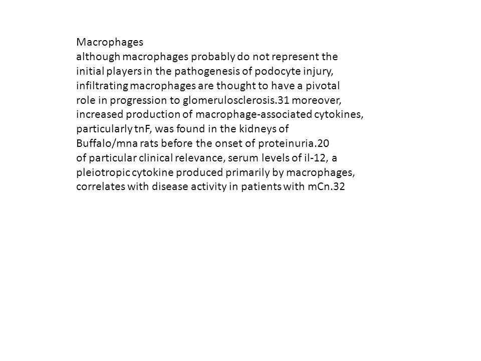 Macrophages although macrophages probably do not represent the. initial players in the pathogenesis of podocyte injury,