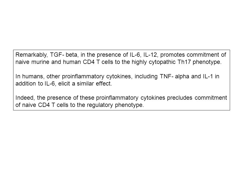 Remarkably, TGF- beta, in the presence of IL-6, IL-12, promotes commitment of naive murine and human CD4 T cells to the highly cytopathic Th17 phenotype.
