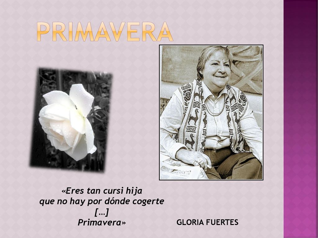 «Eres tan cursi hija que no hay por dónde cogerte