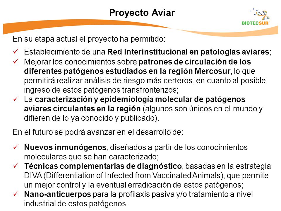 Proyecto Aviar En su etapa actual el proyecto ha permitido: