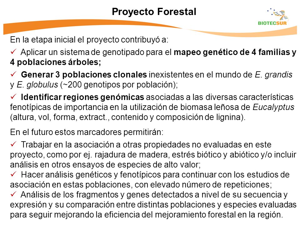 Proyecto Forestal En la etapa inicial el proyecto contribuyó a: