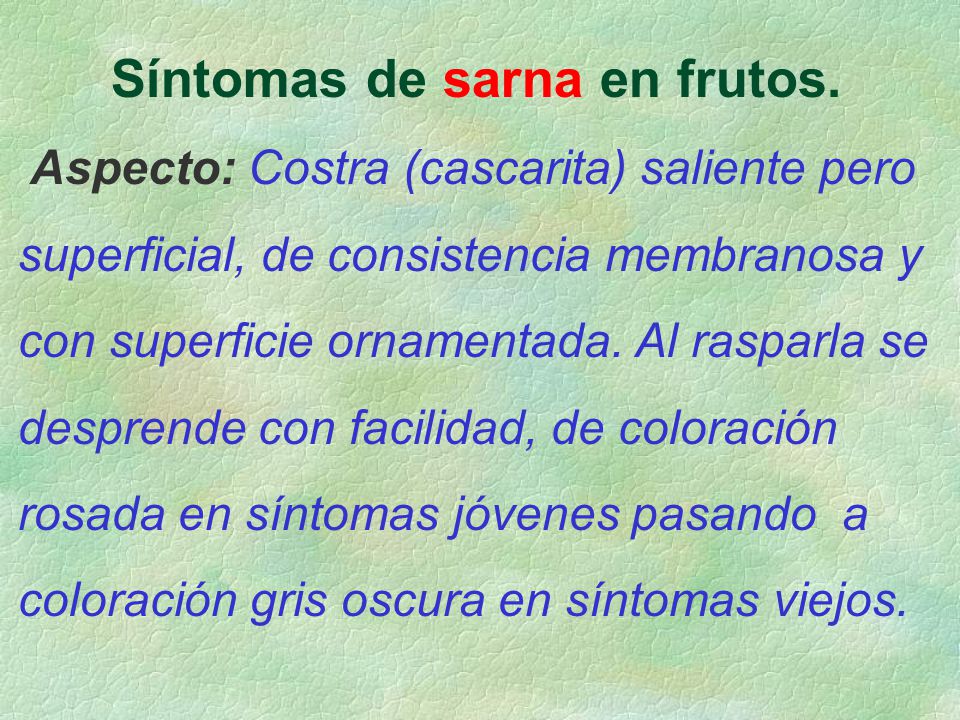 Síntomas de sarna en frutos.
