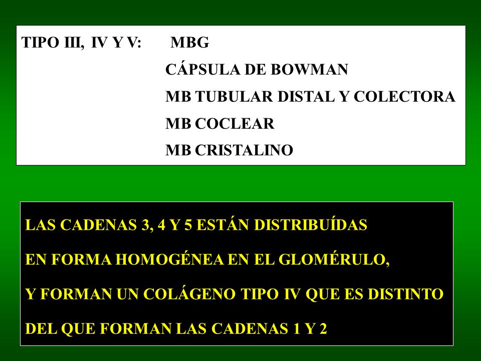 TIPO III, IV Y V: MBG CÁPSULA DE BOWMAN. MB TUBULAR DISTAL Y COLECTORA. MB COCLEAR. MB CRISTALINO.
