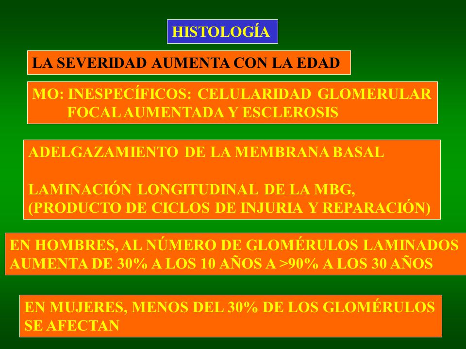 HISTOLOGÍA LA SEVERIDAD AUMENTA CON LA EDAD. MO: INESPECÍFICOS: CELULARIDAD GLOMERULAR. FOCAL AUMENTADA Y ESCLEROSIS.