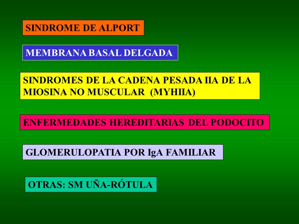SINDROME DE ALPORT MEMBRANA BASAL DELGADA. SINDROMES DE LA CADENA PESADA IIA DE LA. MIOSINA NO MUSCULAR (MYHIIA)