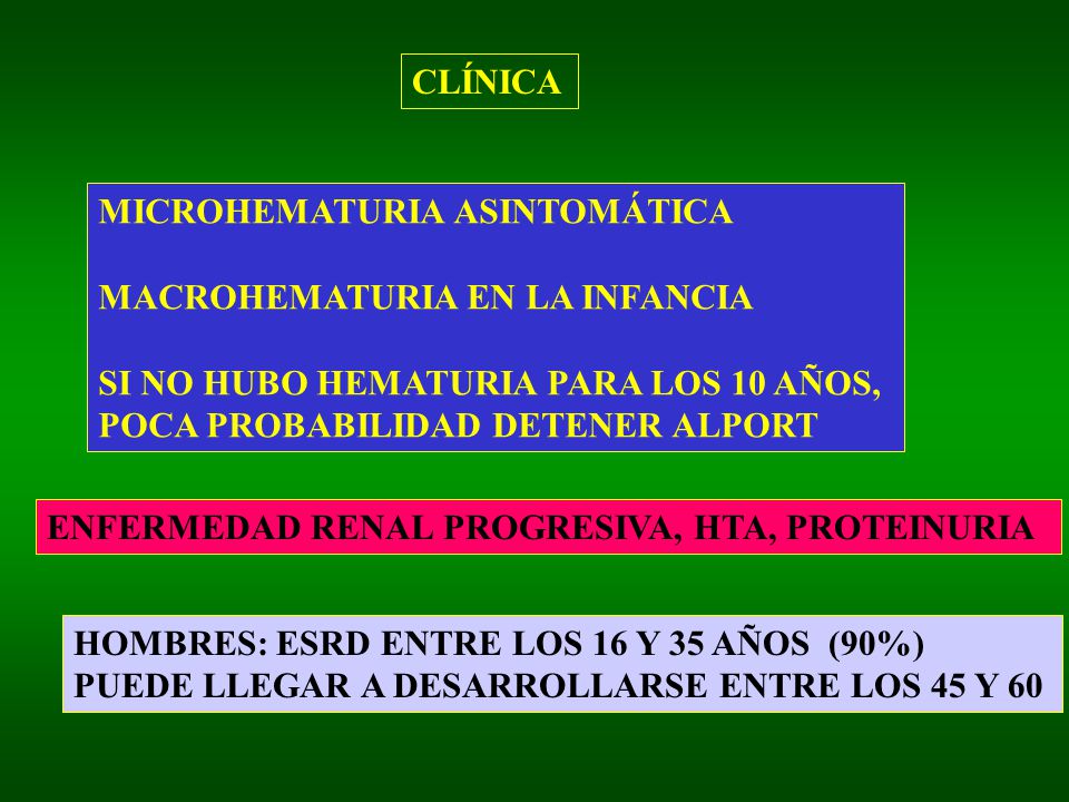 CLÍNICA MICROHEMATURIA ASINTOMÁTICA. MACROHEMATURIA EN LA INFANCIA. SI NO HUBO HEMATURIA PARA LOS 10 AÑOS,