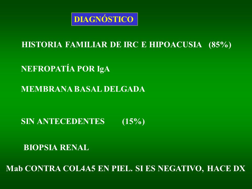 DIAGNÓSTICO HISTORIA FAMILIAR DE IRC E HIPOACUSIA (85%) NEFROPATÍA POR IgA. MEMBRANA BASAL DELGADA.