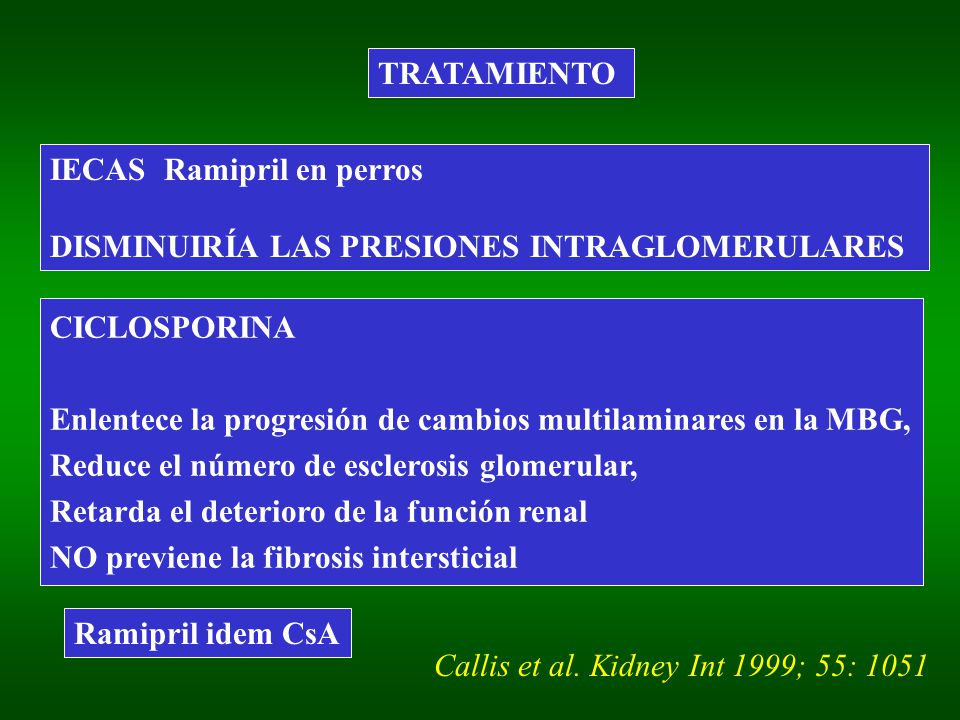 TRATAMIENTO IECAS Ramipril en perros. DISMINUIRÍA LAS PRESIONES INTRAGLOMERULARES. CICLOSPORINA.
