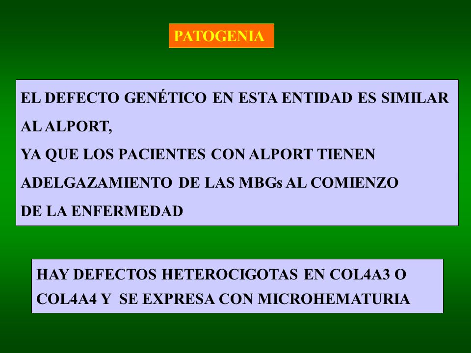 PATOGENIA EL DEFECTO GENÉTICO EN ESTA ENTIDAD ES SIMILAR. AL ALPORT, YA QUE LOS PACIENTES CON ALPORT TIENEN.