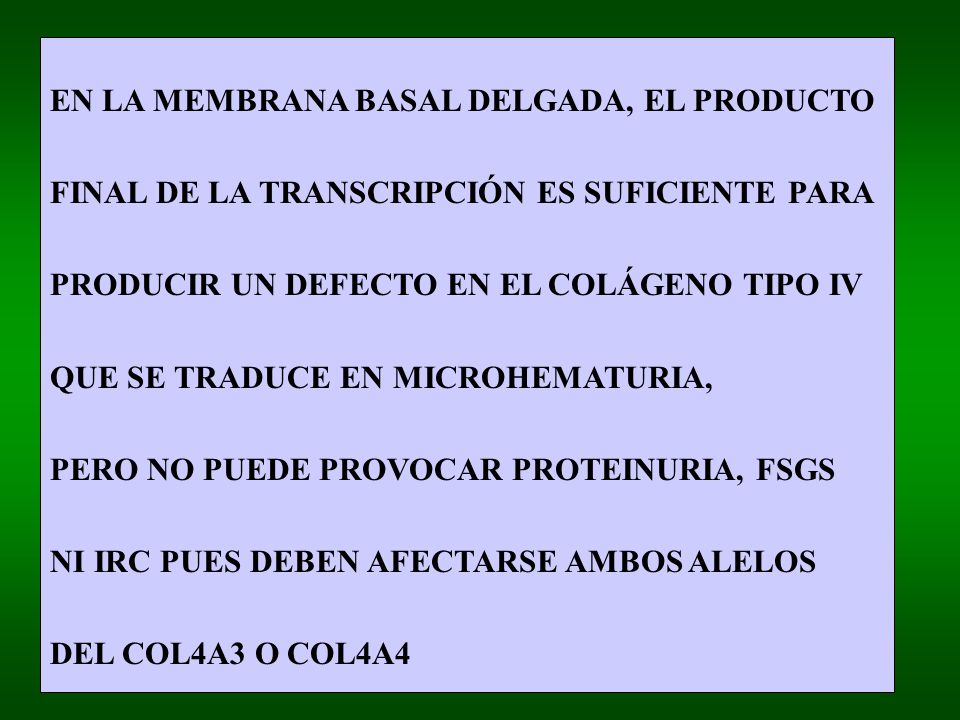 EN LA MEMBRANA BASAL DELGADA, EL PRODUCTO