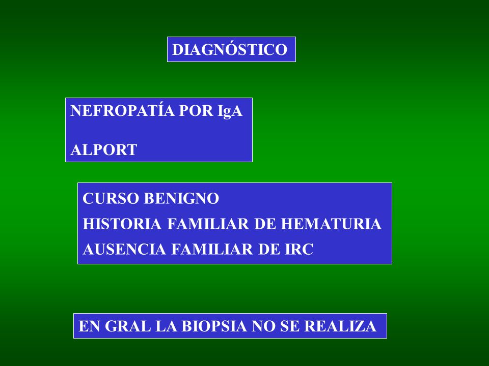 DIAGNÓSTICO NEFROPATÍA POR IgA. ALPORT. CURSO BENIGNO. HISTORIA FAMILIAR DE HEMATURIA. AUSENCIA FAMILIAR DE IRC.